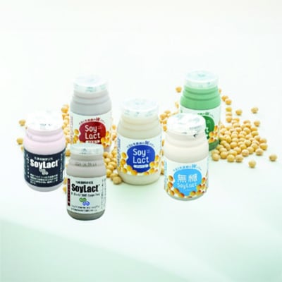 乳酸菌醗酵豆乳「ソイラクト」バラエティセット100ml×2本×6種(計12本)【202609】