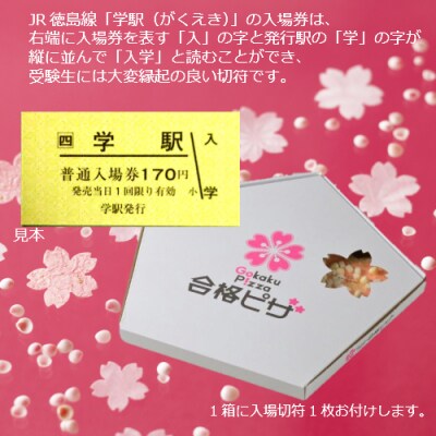 合格ピザ2箱セット【A-54】