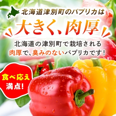 【R8年産】湧水栽培 ナツやさいのパプリカ 6玉〜8玉セット ピンクの八百屋〜ナツやさい