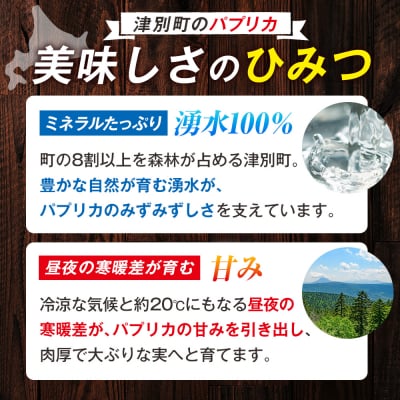【R8年産】湧水栽培 ナツやさいのパプリカ 6玉〜8玉セット ピンクの八百屋〜ナツやさい