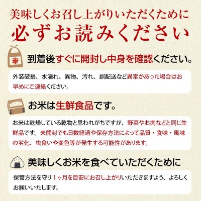 令和8年産米 西会津産米 コシヒカリ 玄米 9kg (4.5kg×2袋) F4D-2739