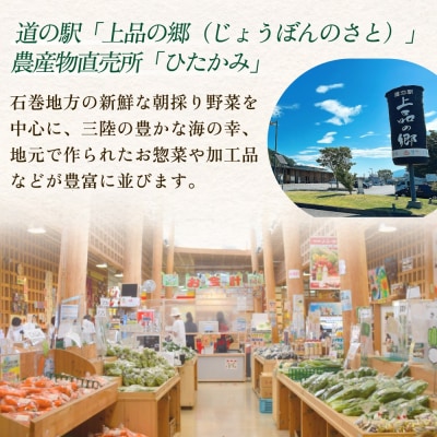 石巻産 お米と季野菜セット 朝採れ 旬の野菜 季節の野菜 お野菜 米 詰め合わせ 新鮮