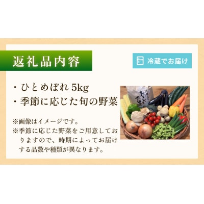 石巻産 お米と季野菜セット 朝採れ 旬の野菜 季節の野菜 お野菜 米 詰め合わせ 新鮮