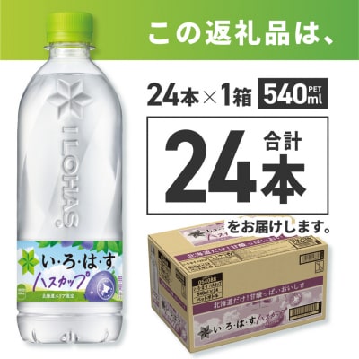 い・ろ・は・す ハスカップ　540mlPET×24本_hs137-040