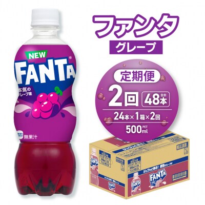【2ヶ月定期便】ファンタ グレープ 500mlPET×24本_hs137-206