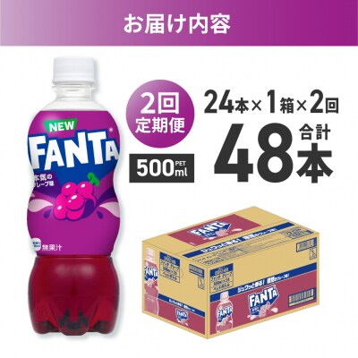 【2ヶ月定期便】ファンタ グレープ 500mlPET×24本_hs137-206