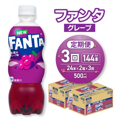 【3ヶ月定期便】ファンタ グレープ 500mlPET×48本(2ケース)_hs137-209