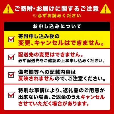キリンラガービール＜北海道千歳工場産＞350ml 2ケース