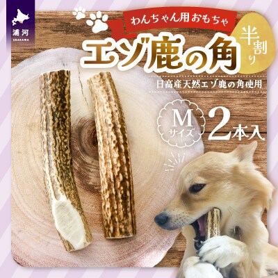 エゾ鹿の角 Mサイズ×2本(半割)[54-1366]