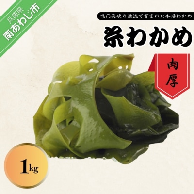 肉厚  鳴門糸わかめ1㎏