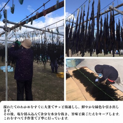 肉厚  鳴門糸わかめ1㎏