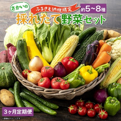 【定期便/3ヶ月連続お届け】さかいの採れたて 野菜セット(5～8種) 道の駅さかい 産地直送 新鮮