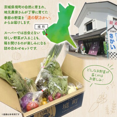 【定期便/3ヶ月連続お届け】さかいの採れたて 野菜セット(5～8種) 道の駅さかい 産地直送 新鮮