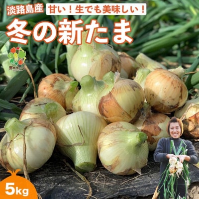 【野口ファーム】冬の新たまねぎ 5kg　約15個入　◆配送12月～