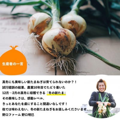 【野口ファーム】冬の新たまねぎ 5kg　約15個入　◆配送12月～