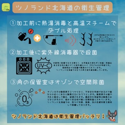 エゾ鹿の角 Lサイズ×2本セット(1本物)[54-1533]