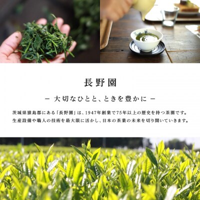 さしま茶 長野園のぽかぽか 生姜入り ほうじ茶 ティーバッグ 120g (4g×30包) × 3袋