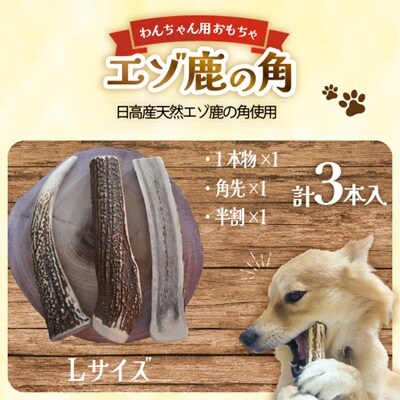 エゾ鹿の角　Lサイズよくばりセット(1本物・角先・半割)[54-1575]