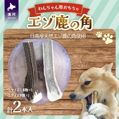 エゾ鹿の角 Lサイズ1本と半割1本のセット[54-1534]