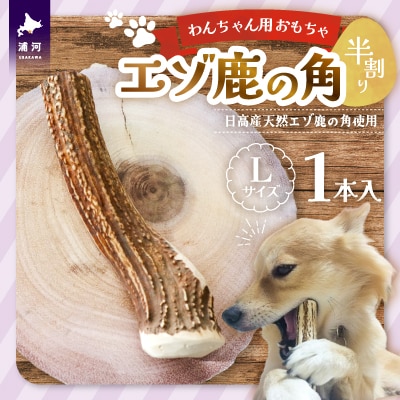エゾ鹿の角 Lサイズ×1本(半割)[54-1367]