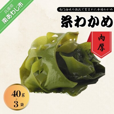 肉厚!鳴門糸わかめ40g×3袋入り　鳴門海峡の激流で育まれました!