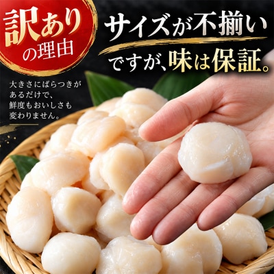 陸奥湾産ほたて貝柱　玉冷1kg(500g×2)　刺身用　サイズ不揃い　訳あり