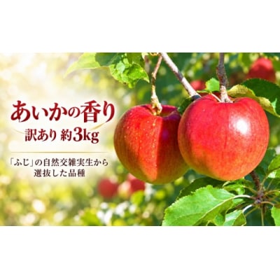 傷等訳あり・ご家庭用　甘い!希少りんご　あいかの香り　3キロ