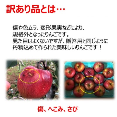 傷等訳あり・ご家庭用　甘い!希少りんご　あいかの香り　3キロ
