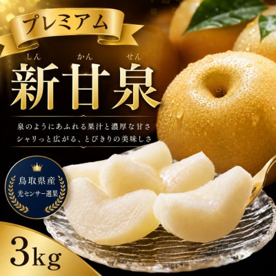 【2027年発送分先行受付】プレミアム新甘泉 3kg