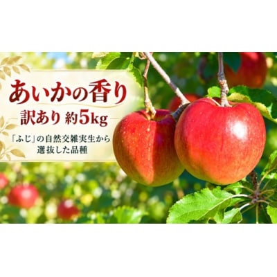 傷等訳あり・ご家庭用　甘い!希少りんご　あいかの香り　5キロ