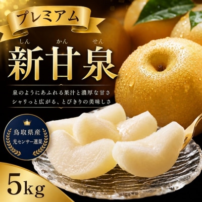【2027年発送】プレミアム新甘泉 5kg