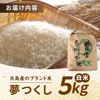 【令和8年産】 夢つくし 白米 5kg 糸島市産 [AGR023]