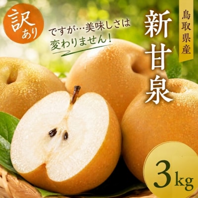 【訳あり】新甘泉　3kg【2027年発送分先行受付】