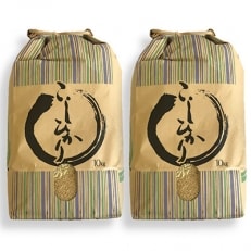 【令和4年産】七尾産コシヒカリ玄米20kg(10kg×2袋)