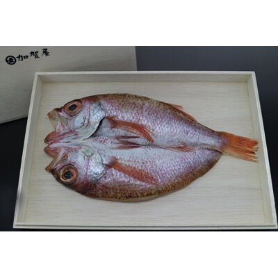 加賀屋　のどぐろ干物(塩麹)