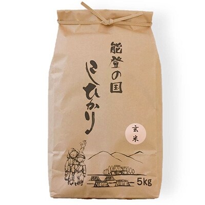 【令和元年産】石川県七尾産コシヒカリ 「能登の国」玄米10kg(5kg×2袋)