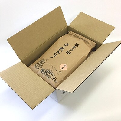 【令和元年産】石川県七尾産コシヒカリ 「能登の国」玄米10kg(5kg×2袋)