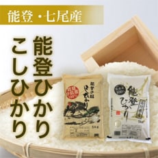 2023年5月発送開始『定期便』石川県七尾産 コシヒカリ5kg・能登ひかり5kg全3回 | ふるさと納税のお礼品