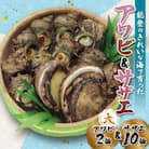 能登 アワビ・サザエセット(大アワビ2ヶ/サザエ10ヶ)