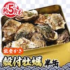 能登牡蠣 殻付牡蠣半缶/約5㎏(約40～50個)専用ナイフ、片手用軍手付　※加熱用