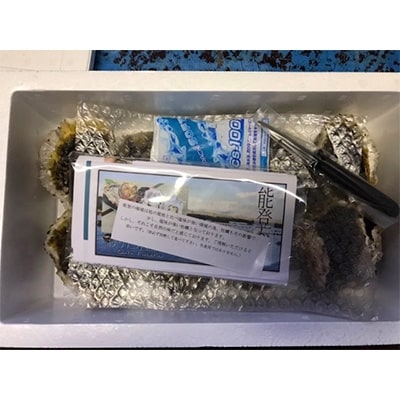 能登産岩牡蠣(2kgセット/8～10個)加熱用