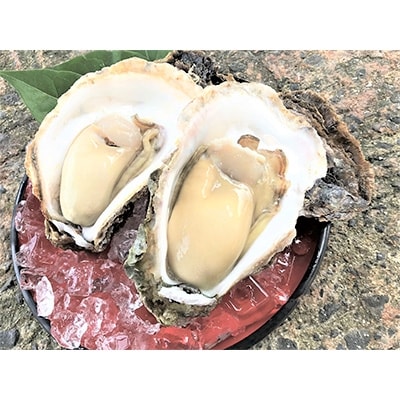 能登産岩牡蠣 (2.5kgセット/8～10個)加熱用