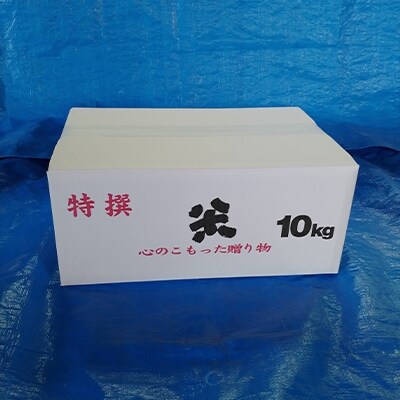 令和4年産 石川県能登産こしひかり 精米10kg(5kg×2袋)
