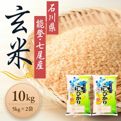 石川県能登産こしひかり 玄米10kg(5kg×2袋)