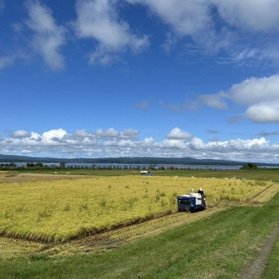 【令和7年産】石川県能登産こしひかり 玄米10kg(5kg×2袋)
