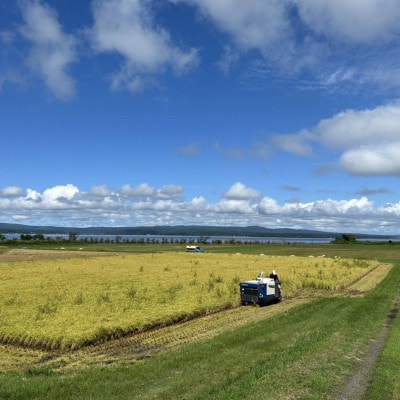 【令和7年産】石川県能登産こしひかり 玄米5kg(5kg×1袋)