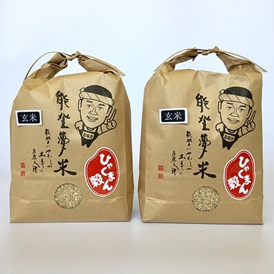 【令和元年産】七尾産ひゃくまん穀 6kg(玄米3kg×2袋)