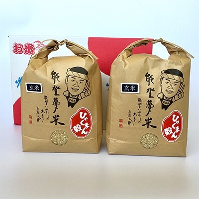 【令和元年産】七尾産ひゃくまん穀 6kg(玄米3kg×2袋)