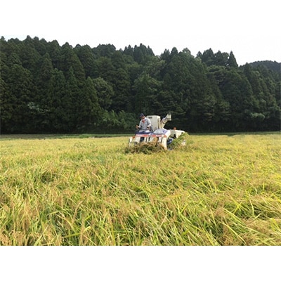 2023年1月発送開始『定期便』能登産コシヒカリ 能登夢米6kg(玄米3kg×2袋)全5回
