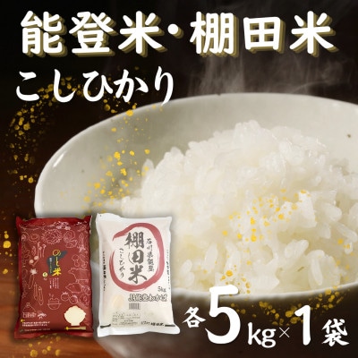 【令和7年産】能登米コシヒカリと棚田米コシヒカリ5kg(合計10kg) お米食べ比べセット
